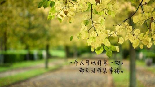 小薇dj串烧