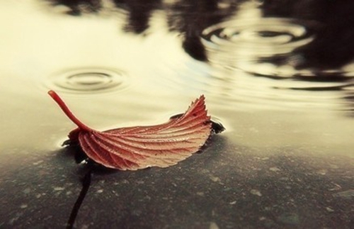 广场舞蓝天雨恰恰