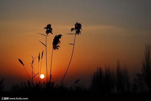 除夕夜朋友圈告白情话