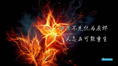 适合60岁以上的老年人广场舞（云裳广场舞今生有缘）