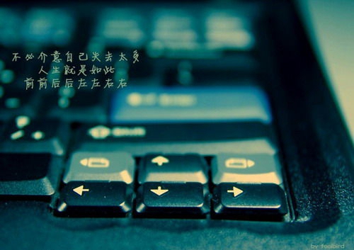 介绍哈尔滨的旅游景点（哈尔滨主要旅游景点）