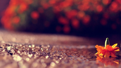 乾安旅游景点（乾元旅游景点）