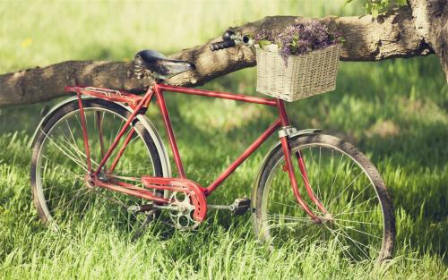 孩子幸福的时刻的句子