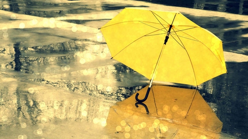 雨霖铃最经典写景句子摘抄「表达不同情感的句子」 
