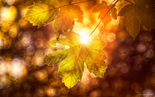 关于时光的说说句子