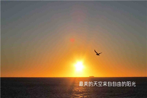专治心情不开心的笑话