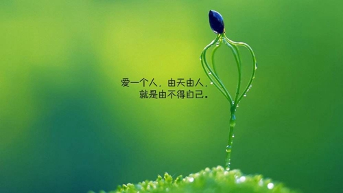风韵犹存是什么意思梗