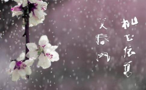 先天圣体是什么意思