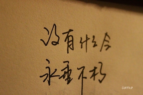 爱情顺其自然句子说说心情