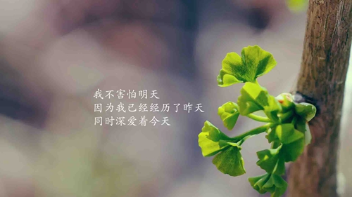  
短信早上好的句子（精选10条疯狂的早上好短信）
