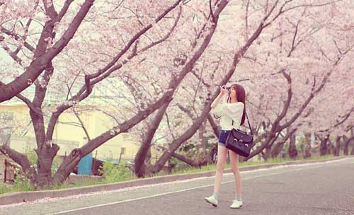 写心情优美句子