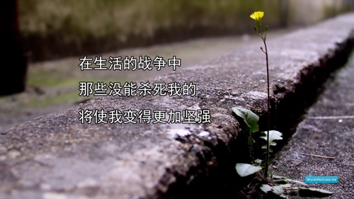非常孤独的简短说说