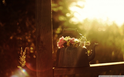  
20句一个的qq短信（qq编辑短信1）