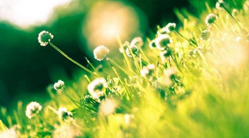 幼儿简短教师节的祝福语