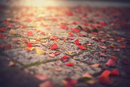 情侣英文网名带翻译