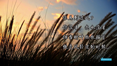 感恩情感的话语简短精辟（英语情话诗意） 

