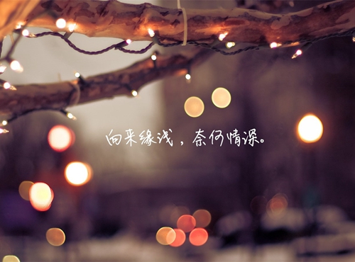  
推荐15张兄弟的唯美头像（兄弟头像简单干净）