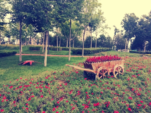 属虎的车里放什么摆件？猴子外的东西都好