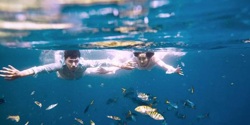 离南充较近的旅游景点（离南充较近的旅游景点有）