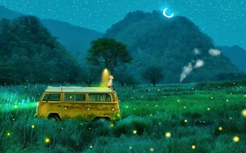 陕西的旅游景点有哪些（陕西的旅游景点有哪些地方）