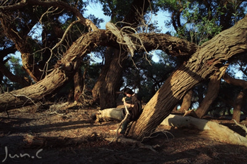 怎么区别笑话段子和梗
