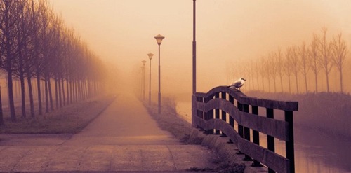 搞笑的笑话动画片大全