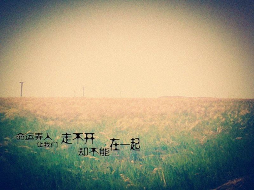 每日一笑话,开心一刻文字加图文
