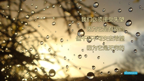 2025最搞笑的笑话