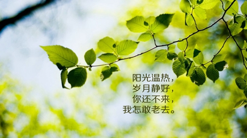 你信任我吗幽默笑话