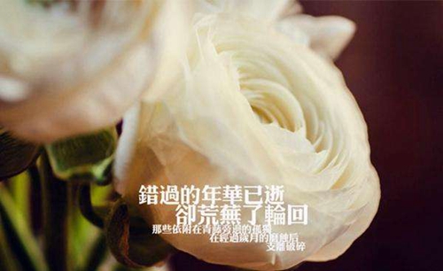 费玉清黄段子