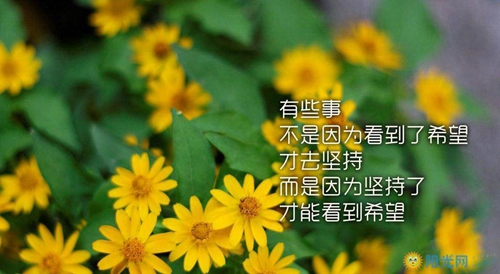 有趣的谐音的笑话