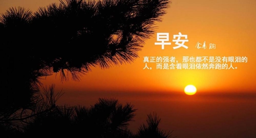 八所哪个楼盘好