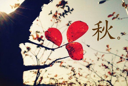快手繁体名字大全